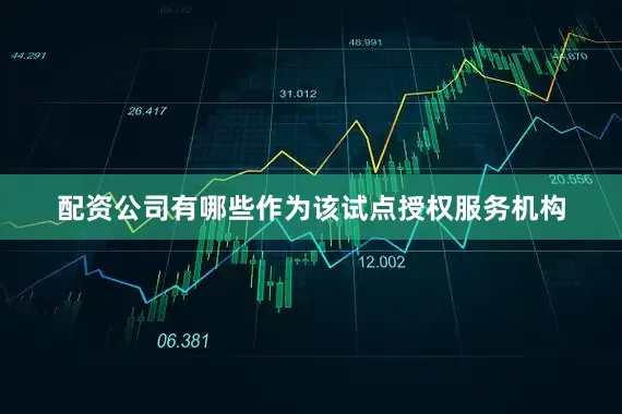 配资公司有哪些作为该试点授权服务机构